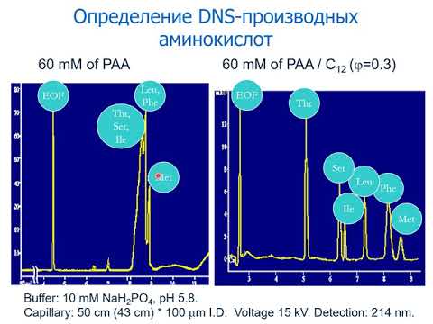 Видео: А.В. Пирогов. Виды электромиграционных методов и концентрирование. Лекция 2