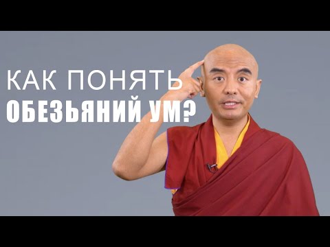 Видео: Как понять обезьяний ум? | Мингьюр Ринпоче