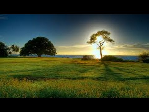 Видео: Хочи Мирзо-ам-028 Киёмат 4