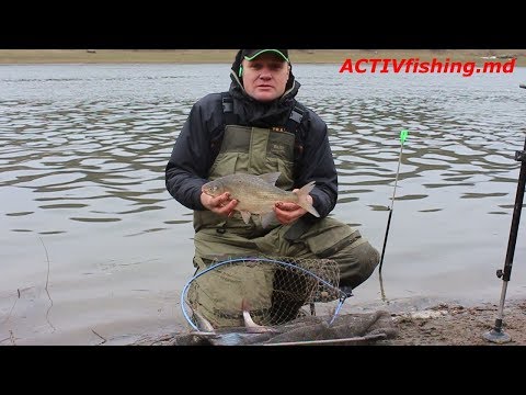 Видео: Зимний фидер на реке Днестр!