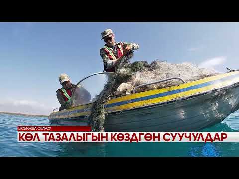 Видео: Көл тазалыгын көздөгөн суучулдар 