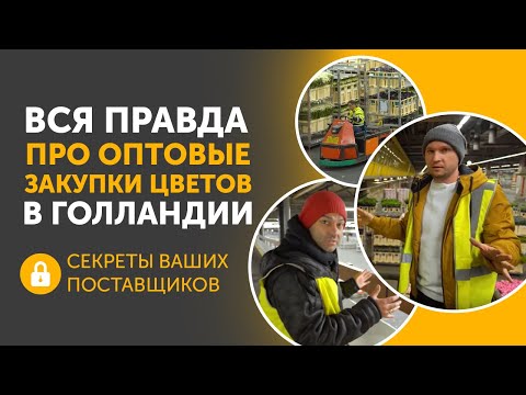 Видео: Как закупать цветы напрямую. Обзор Голландского и мирового цветочного рынка