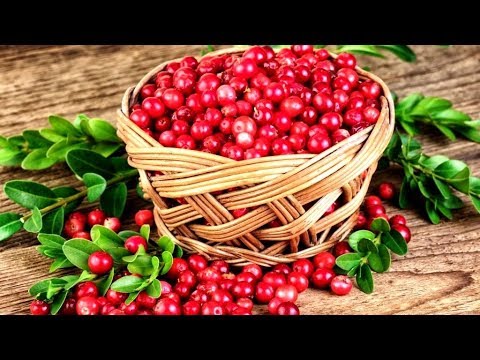 Видео: Клюква польза и вред для организма человека | VolkoFF_video