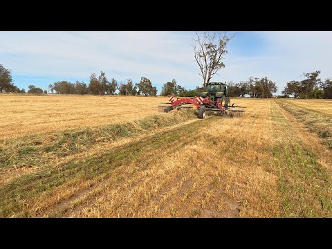 Видео: Сезон сена, какой сейчас день недели?