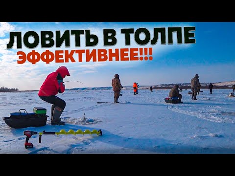 Видео: ТОЛПА МЕШКУЕТ СУДАКА! Рыбалка на Дону! Ловля судака! Рыбалка с эхолотом практик 6м