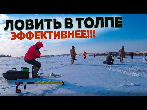 Видео: ТОЛПА МЕШКУЕТ СУДАКА! Рыбалка на Дону! Ловля судака! Рыбалка с эхолотом практик 6м