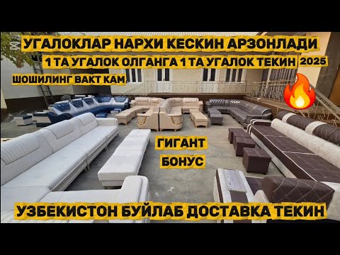 Видео: Угалоклар нархи арзонлади 1 та угалок олганга 1 та угалок текинга берилади 