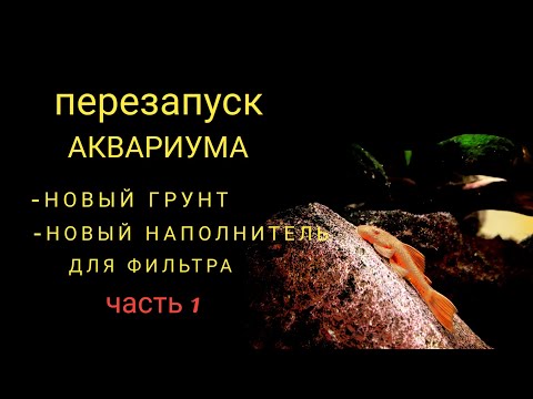 Видео: Перезапуск аквариума часть 1
