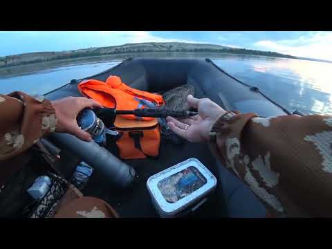 Видео: Рыбалка на сома🦈 ловля на квок 2025.#рыбалка #сомы#квок