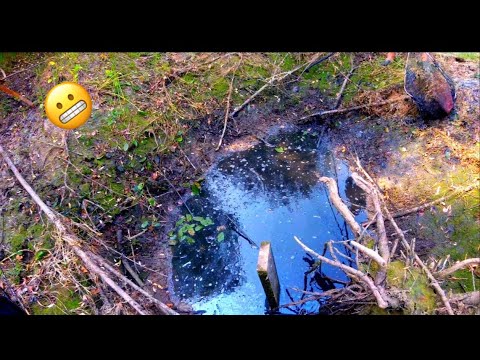 Видео: Спасение рыбы help fish