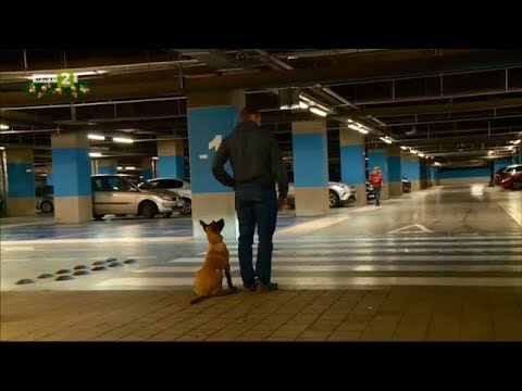 Видео: Ранната социализация на домашния любимец, Време за губене –11.12.2021 по БНТ