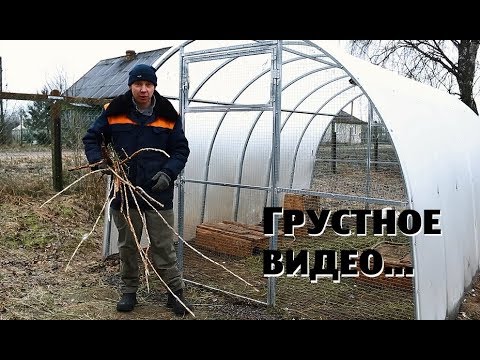 Видео: Грустное видео : кроличья трагедия и отъезд семьи .