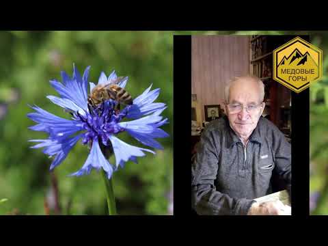 Видео: Владимир Георгиевич Кашковский "Ответы на вопросы пчеловодов"22.05.2019г.