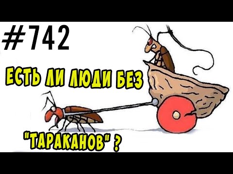 Видео: Есть ли люди без психотравм (без тараканов) ? #психология