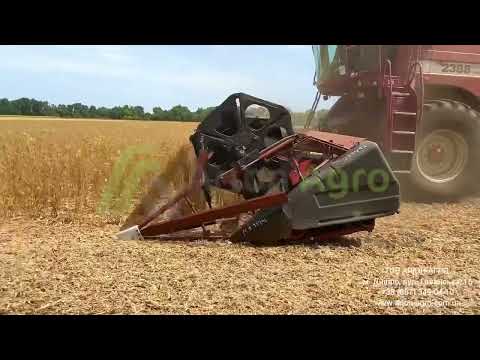 Видео: Робота жатки Case IH 1020 Flex з комбайном Case IH 2388