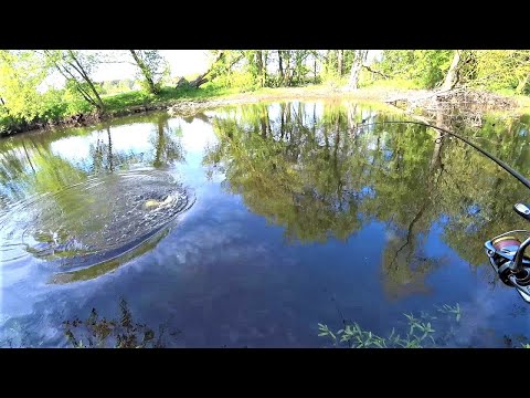 Видео: Щука Клює на Силікон. Воблери Не Беріть. Риболовля на Спінінг 2023