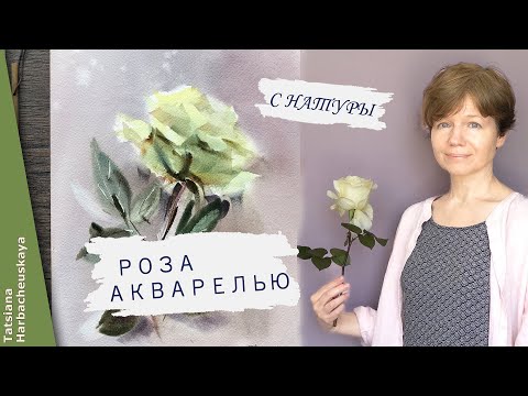 Видео: Белая Роза акварелью