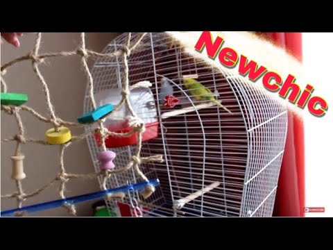 Видео: ИГРУШКИ ДЛЯ МОИХ ЖИВОТНЫХ С САЙТА NEWCHIC 😀