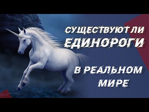 Видео: Существуют ли Единороги в реальном мире