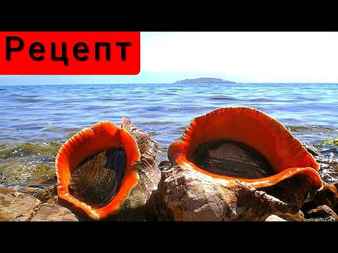 Видео: Рецепт как вкусно приготовить рапана/готовим 50 рапанов #2022