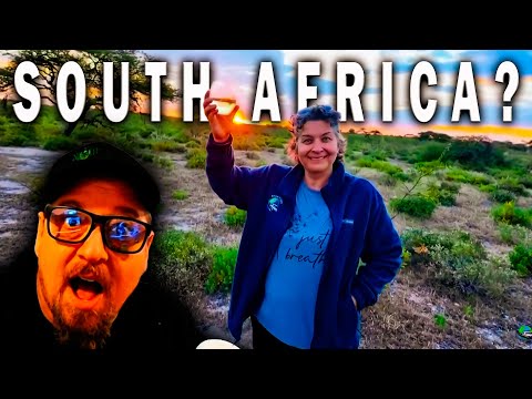 Видео: Первая реакция американцев на Южную Африку.