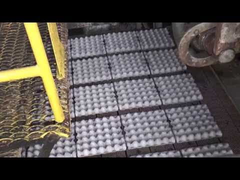 Видео: Оборудование для производства тары для яиц