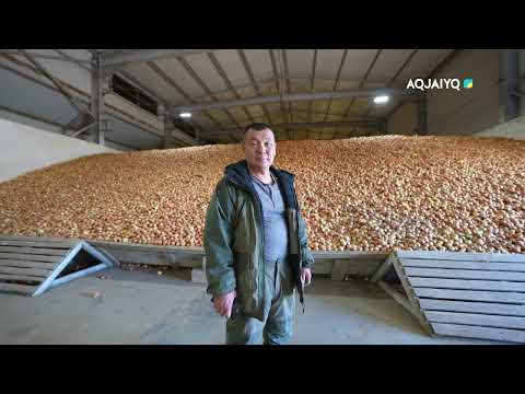 Видео: Батыс Қазақстанның Бәйтерегі – аграрлық дамудың үлгісі