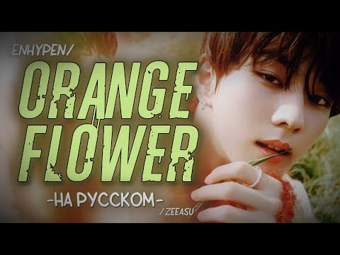 Видео: ENHYPEN - ORANGE FLOWER (YOU COMPLETE ME) (ПЕРЕВОД НА РУССКИЙ; РУС. КАРАОКЕ)