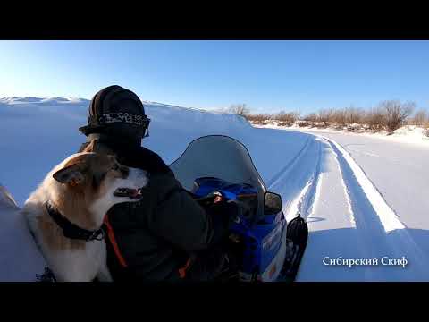 Видео: Снегоход Arctic Cat Bearcat WT 660 Turbo