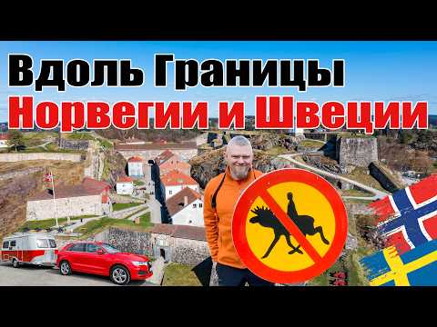 Видео: Неизведанная Южная Норвегия и Встреча с Лосями, Путешествие с Караваном, 4к