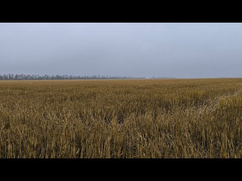 Видео: Внесение деструктора стерни. No-Till на Кубани