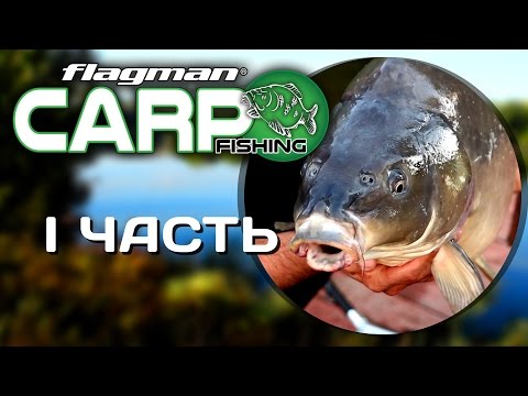 Видео: Большое карповое кино (1 часть)