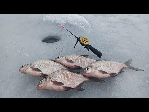 Видео: УХ ЛЕСКА ЗВЕНИТ!!!Ловля леща зимой по последнему льду. Секреты ловли.