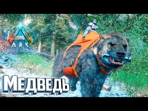 Видео: Свирепый Медведь и ещё один Кетцаль - ARK Survival Ascended #12