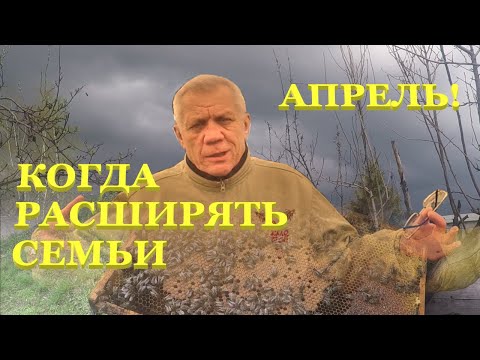 Видео: Когда расширять гнездо пчел весной? Апрель на пасеке.