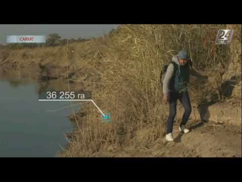 Видео: Саяхат. «Сырдария-Түркістан» мемлекеттік өңірлік табиғи саябағы