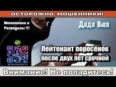 Видео: Мошенники звонят по телефону / Лейтенант поросёнок, после двух лет срочной ( сборник )