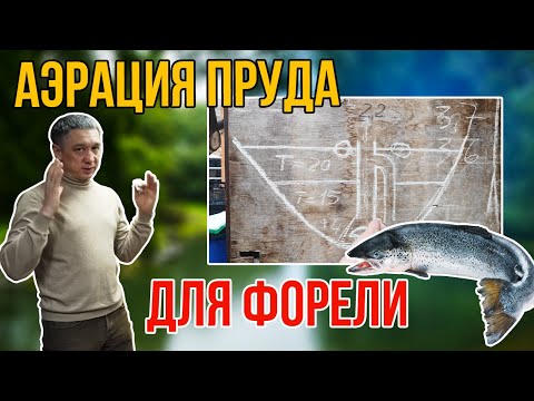 Видео: Аэрация пруда для форели. Аэратор для пруда