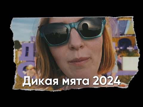 Видео: Дикая мята 2024