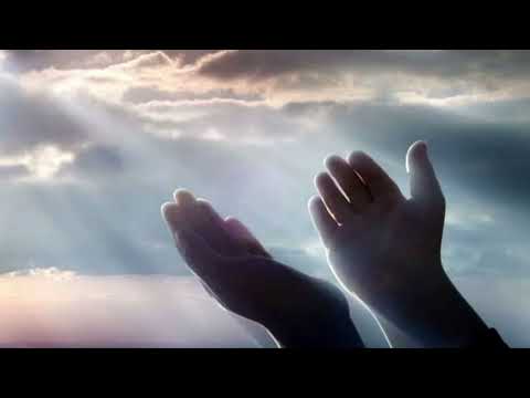 Видео: Хӧдан Тö йи рʼонайа мьн / Амик Алиян