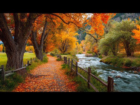 Видео: Послушайте Эту Музыку И Вам Станет Легче!🍁 Осенние мелодии для снятия стресса и исцеления