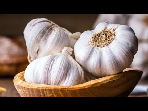 Видео: Когда сожать чеснок и как ? #дачныйбеспредел #толяндачник #димондачник #дача #осень