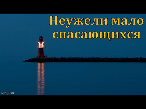 Видео: "Вопрос спасения". В. А. Боровой. МСЦ ЕХБ