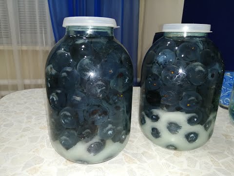 Видео: СЛИВОВАЯ НАЛИВКА!!! на вкус как мед!