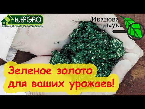 Видео: В 100 РАЗ ЭФФЕКТИВНЕЕ, ЧЕМ ВСЕ ДРУГИЕ! Чем так хороша ТРИХОДЕРМА ПО ЛИСТУ. НАУЧНАЯ ПЯТНИЦА.