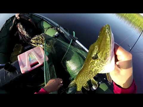 Видео: Рыбалка. Выборгский залив. Сентябрь 2019
