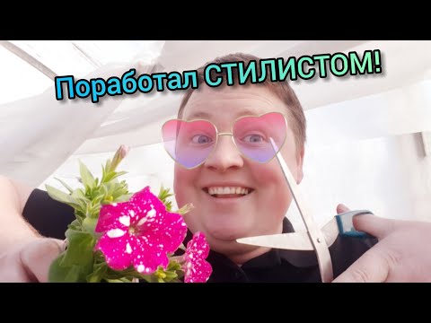 Видео: Формирую черенок! Это ОЧЕНЬ важно!!!