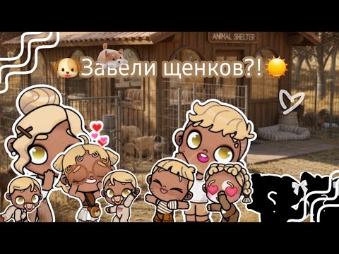 Видео: 🐶Завели щенков?!☀️Как нам их назвать?💭🤎Рутина семьи Керри👐🏾🤍