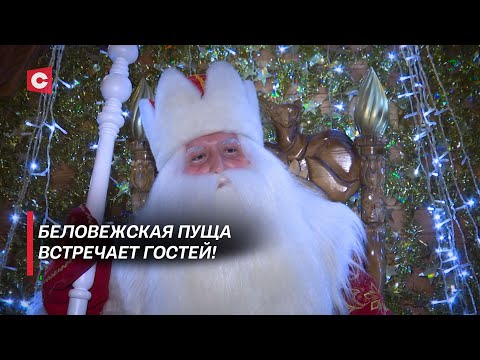 Видео: К белорусскому Деду Морозу – из разных точек мира! Первые гости на пороге волшебного поместья