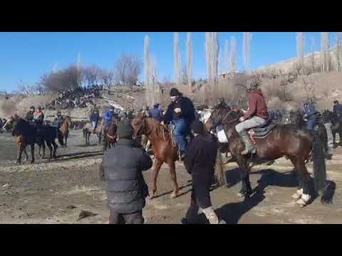 Видео: БУЗКАШИ ДАР ДЕХАИ ВЕШИСТ 28 01 2023